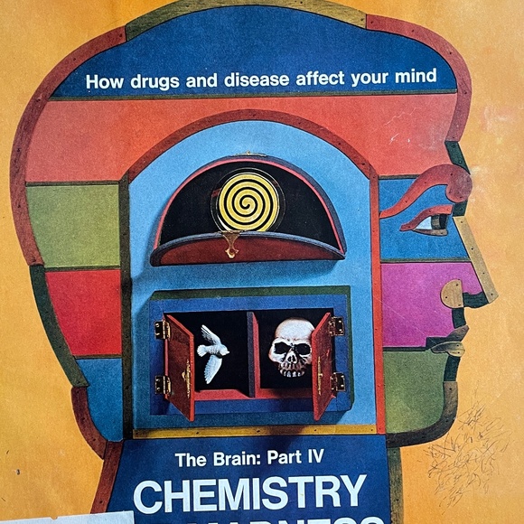 LIFE Magazine 1971, 3/$10 - Picture 10 of 11